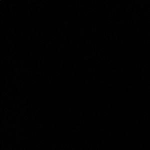 Meet your Posher, Holy